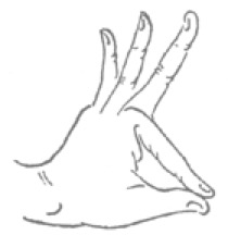 Mudra